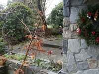 20150106_122113_resized