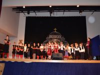 mlada-srbadija-feb-2015-13