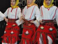 serbiadaydsc_0147