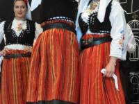 serbiadaydsc_0387