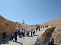 dsc_2900-large