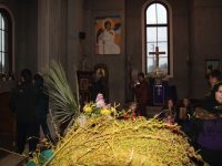 img_1352