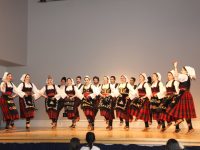 img_2424