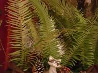 img-b5f7551ea50b3e95c32488ad975c33b6-v